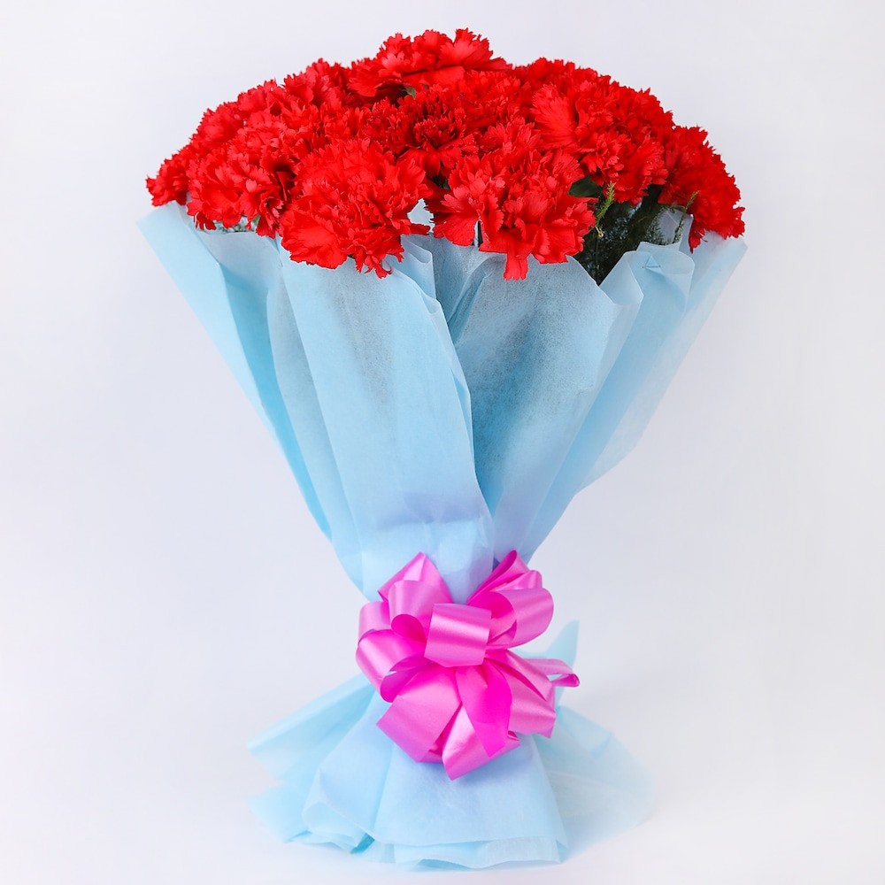 15 Red Carnations Bouquet 3 15 Red Carnations Bouquet