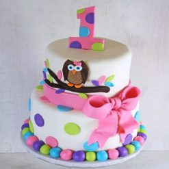 1st Birthday Owl Designer Cake