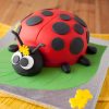 2022 Ladybird Bug Fondant Cake 800X800 1