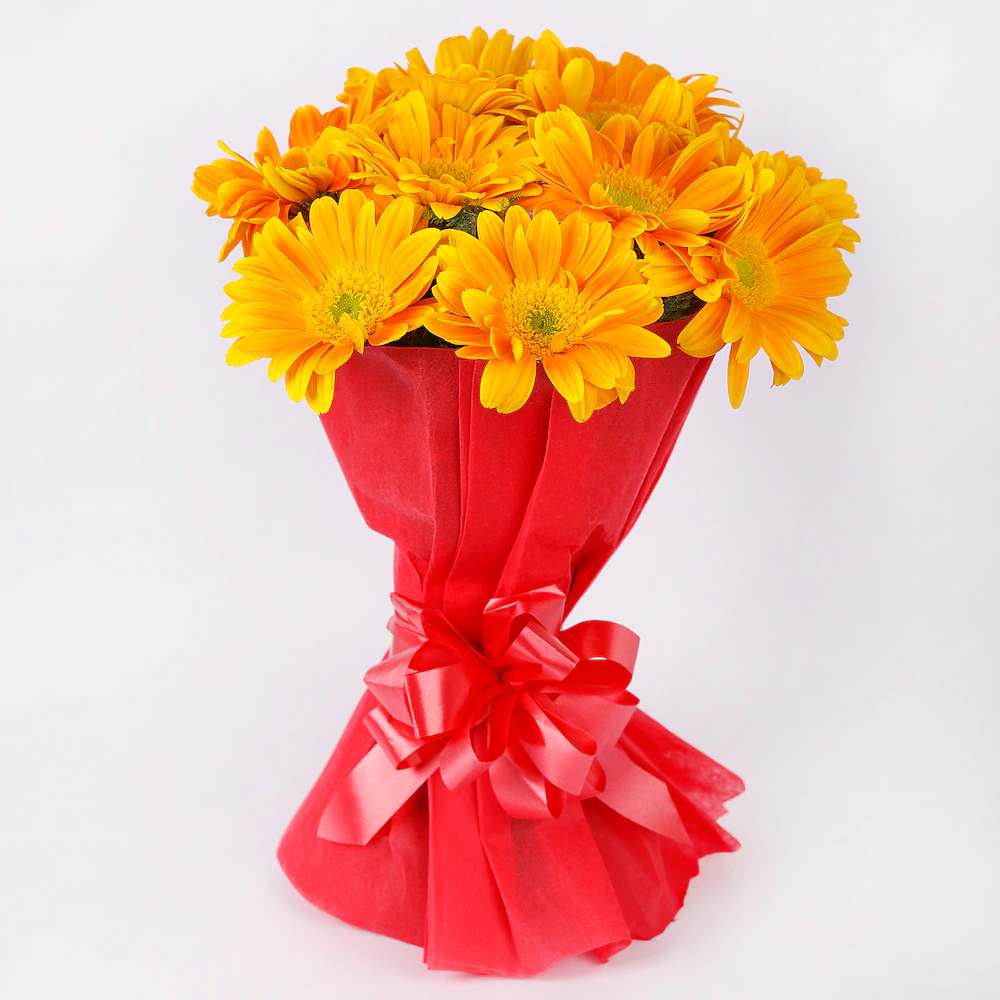 Happy Splashy Gerberas 3 Happy Splashy Gerberas