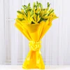 Lovely Asiatic Lilies Bunch 2 47273