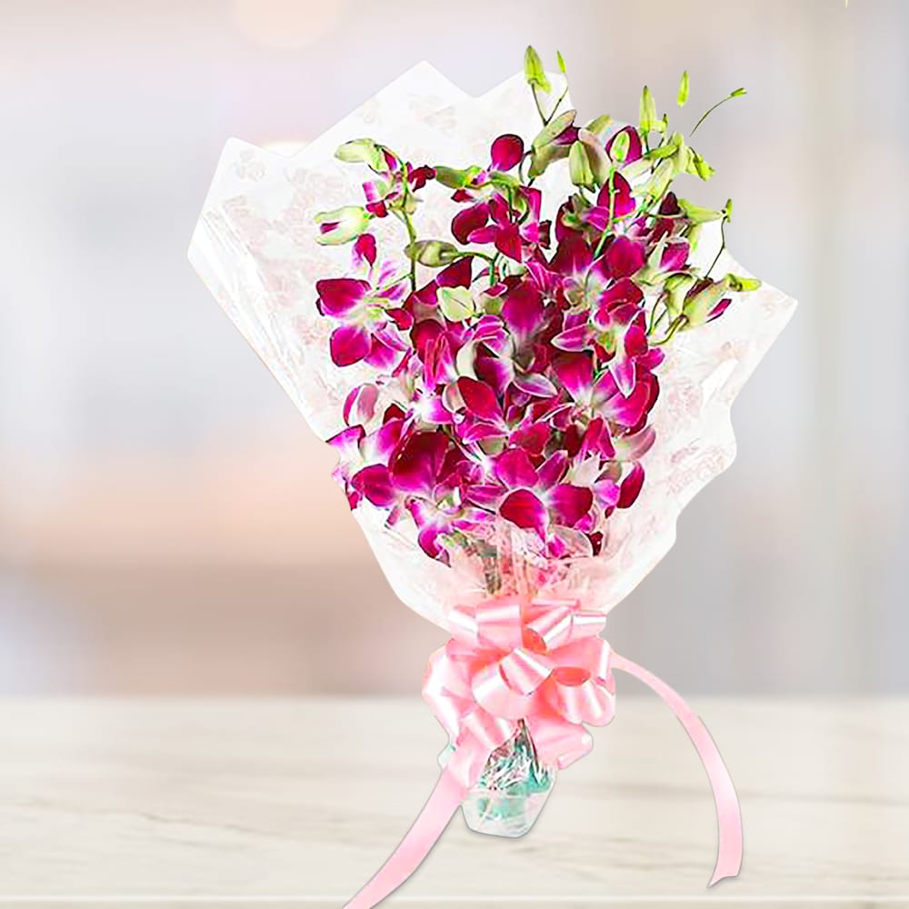 Dreamy Orchids Presents 3 Dreamy Orchids Presents