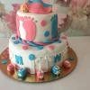 Twin Baby Cake 400X400 900X