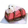 Juicy Dog Bag Fondant Cake 800X800 1