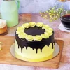 Dark Chocolate Ganache Cake 2 P Dark Chocolate Ganache Cake Half Kg 145964 M