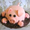 Pig Shape Fondant Cake 800X800 1