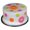 Polka Dot Daisy Fondant Cake 500X500W