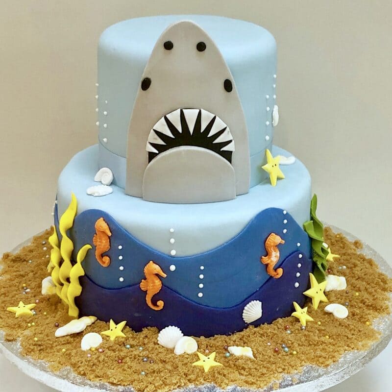 2 Tier Shark Themed Birthday Cake 3 2 Tier Shark Themed Birthday Cake