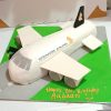 Singapore Airlines Airplane Cake 800X800 1