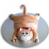 Tabby Cat Designer Fondant Cake 1 Tabby Cat Designer Fondant Cake 800X800 1